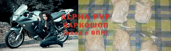 индика Богданович