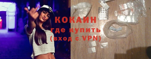 индика Богданович