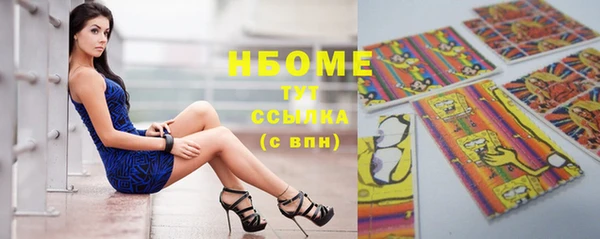 индика Богданович