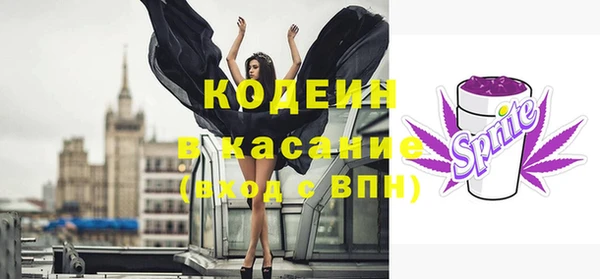 индика Богданович