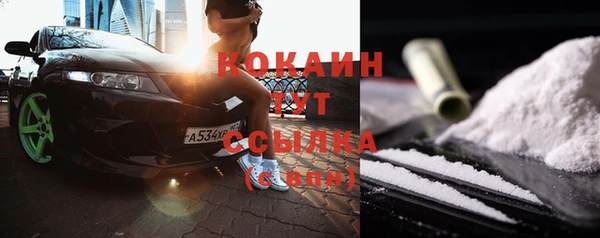 индика Богданович