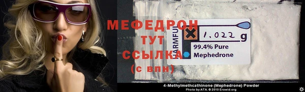 индика Богданович