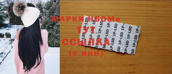 индика Богданович