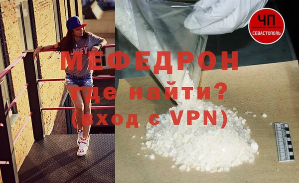 индика Богданович