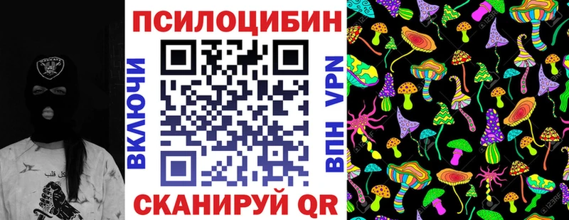 Псилоцибиновые грибы Cubensis  Купить где  Таруса 